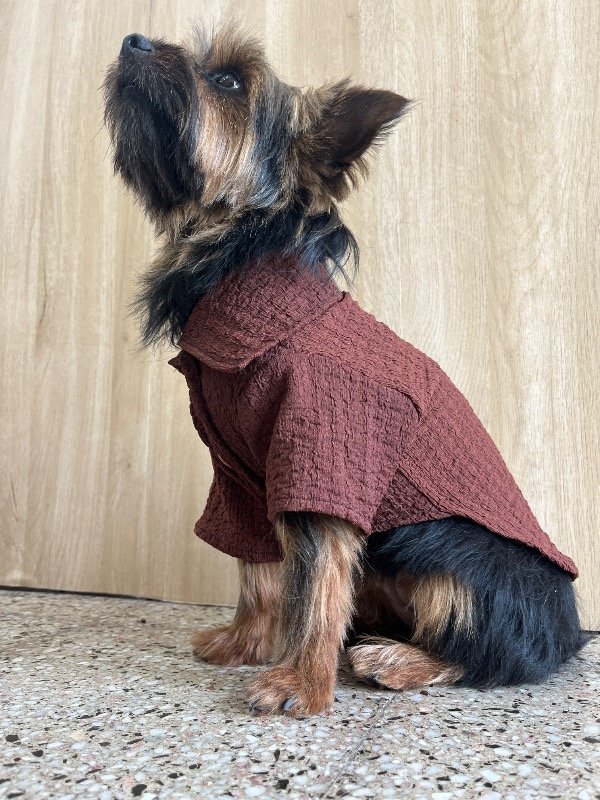 Producto - Camisa Marrón - 3