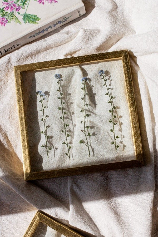 Producto - No Me Olvides