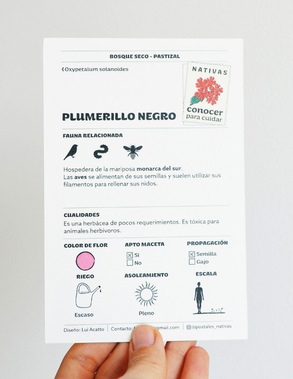 Producto - Postal - Plumerillo negro - 1