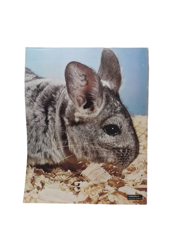 Miniatura de producto - 7