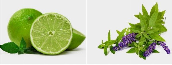 Producto - Esencia Lima Verbena