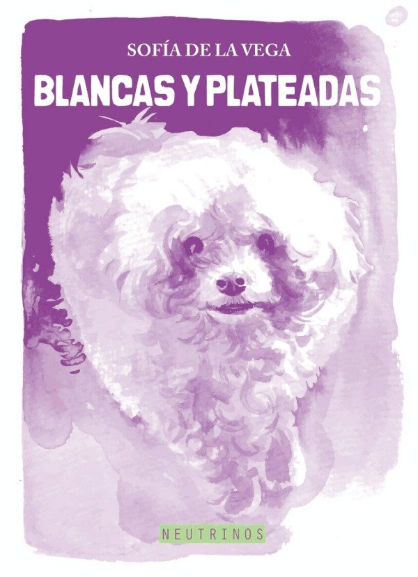 Producto - Blancas y plateadas - Sofía de la Vega
