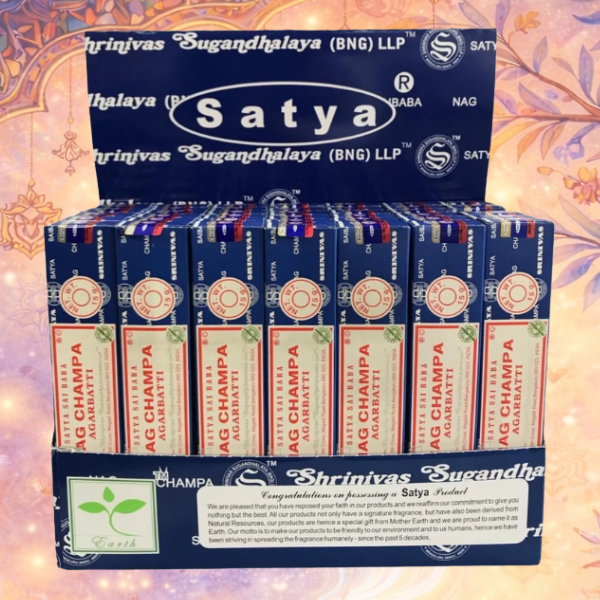 Producto - Box Display x 42 Unidades de 15 g NAG CHAMPA