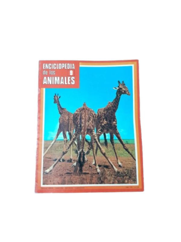 Miniatura de producto - 0