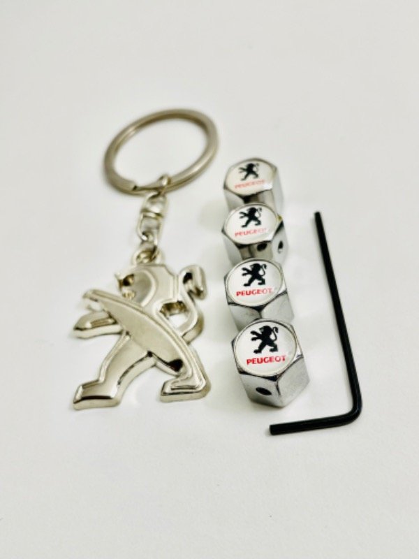 Producto - Mini combo Peugeot metal