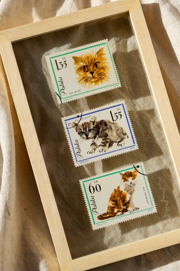 Producto - Estampillas Gatitos Polska II