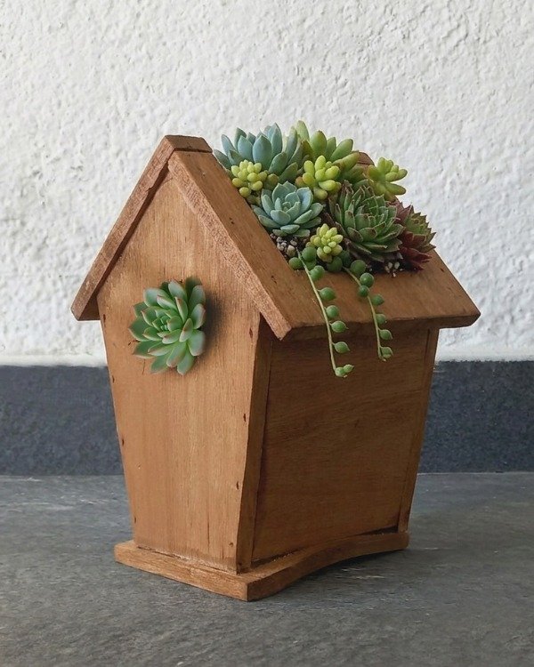 Producto - Casita (maceta) para suculentas