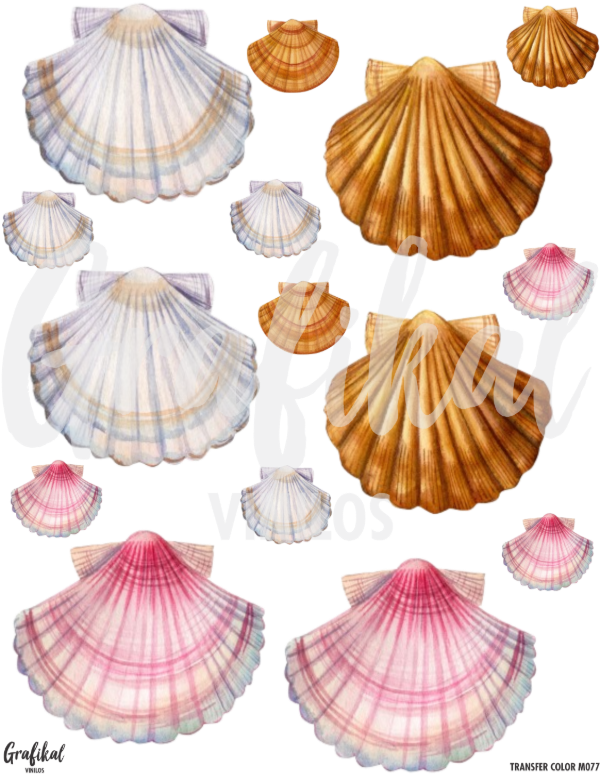 Producto - TransferColor 20x25 077