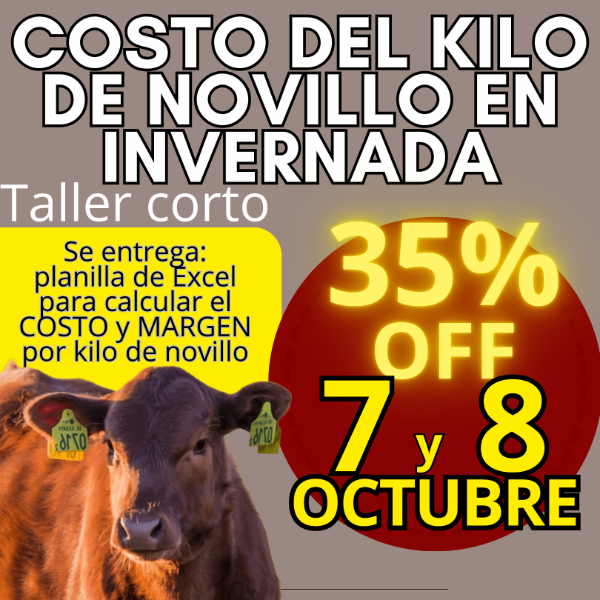 Producto - Taller corto: cálculo del costo del kilo de novillo - 0