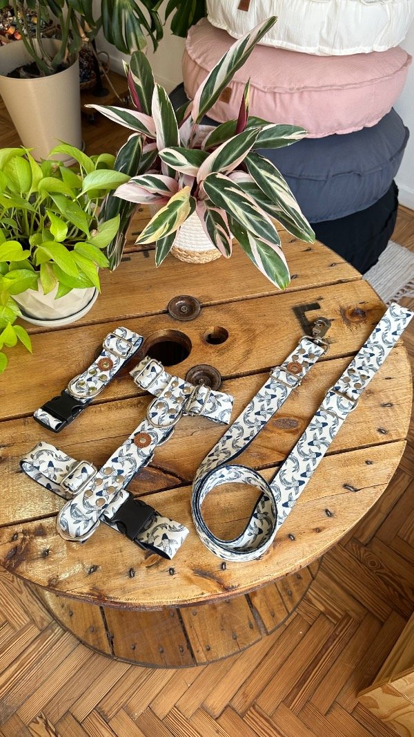 Producto - Combo a Koi Reforzado