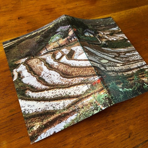 Producto - Arrozales en SA-PA