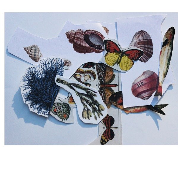 Imagen de producto - 4