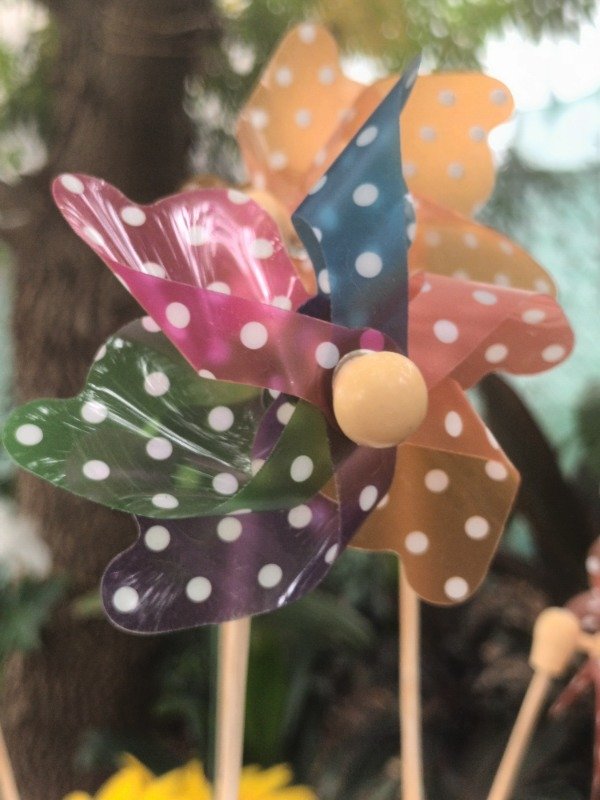 Producto - Molino Viento 24cm - 0