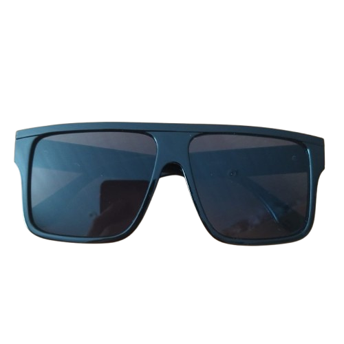 Producto - Lente de Sol Clasico LS2 Seattle