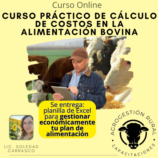 Producto - Curso Práctico: Cálculo y Control de Costos en la Alimentación del Ganado Vacuno
