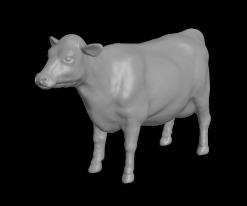 Producto - Vaca