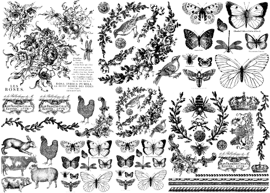 Producto - STAMP 3