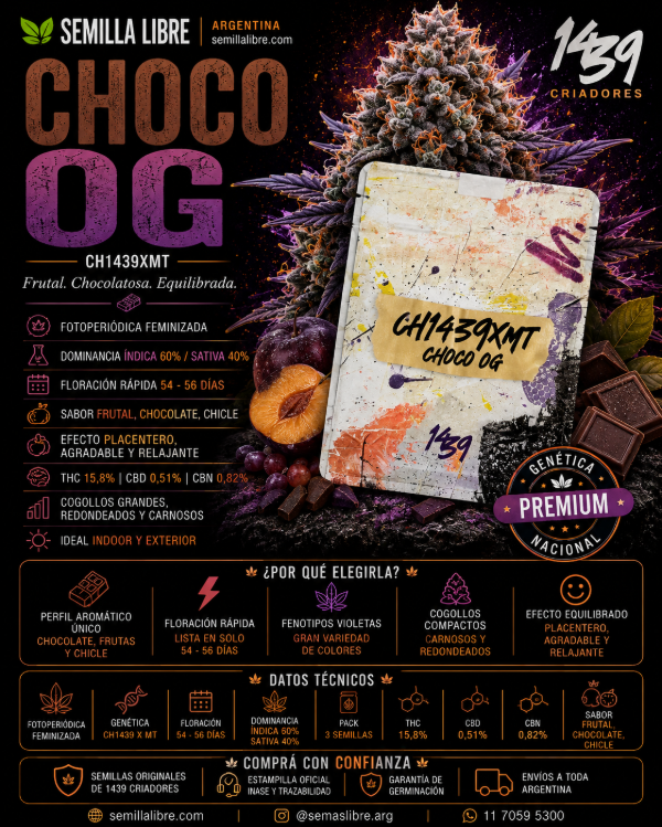 Producto - CHOCO OG - 1439 CRIADORES. Pack 3 semillas - 3
