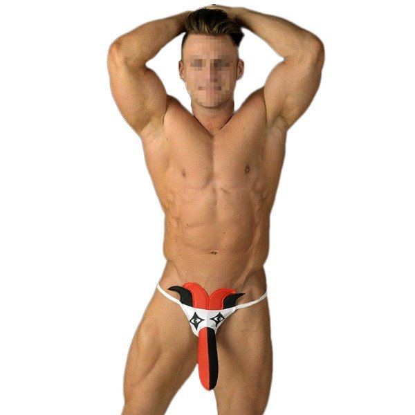 Producto - TANGA ARLEQUIN - PASSIONEL
