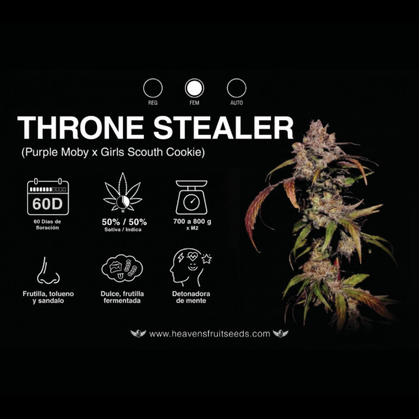 Producto - HEAVENS FRUIT THRONE STEALER