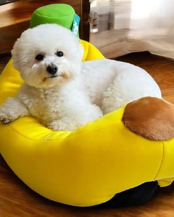 Producto - Camita para Perro de Fácil Lavado con Diseño de Banana