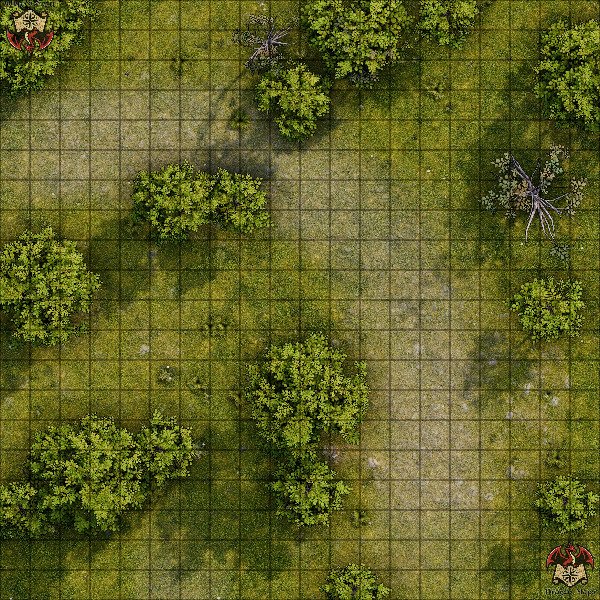 Producto - Camino en el bosque 4