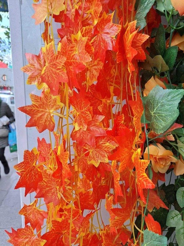 Producto - Guía de hojas sin flores