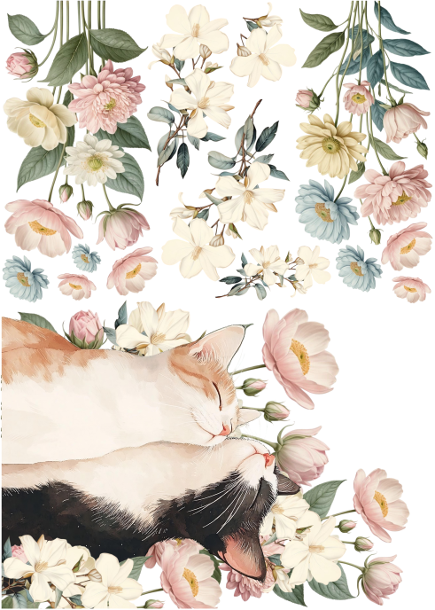 Producto - CATCUTE 2C