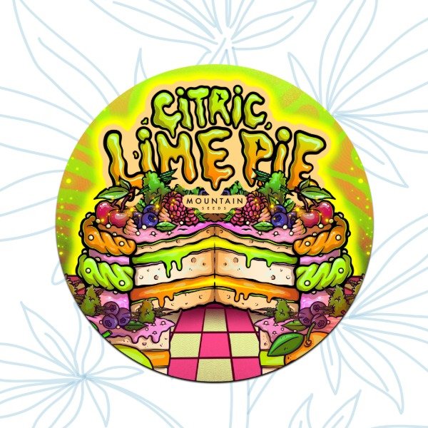 Producto - CITRIC LIME PIE (3 unidades)