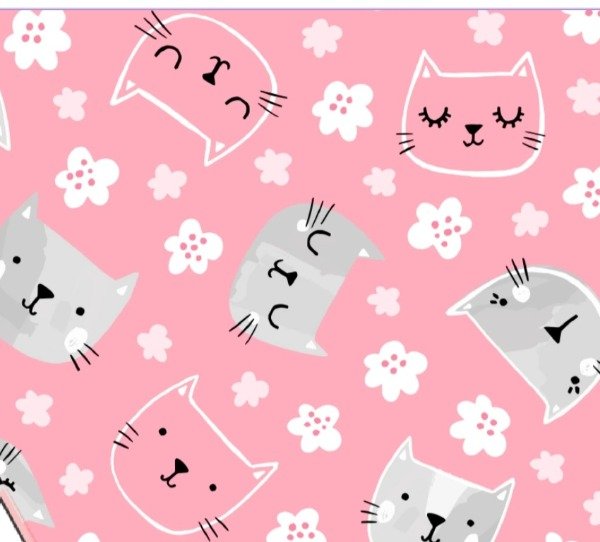Producto - Gatitos rosa