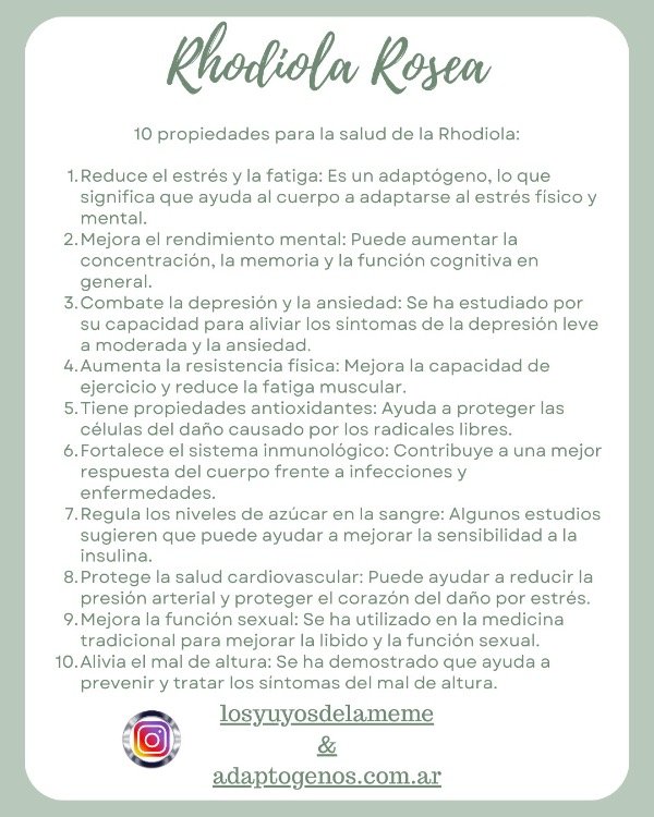 Miniatura de producto - 15