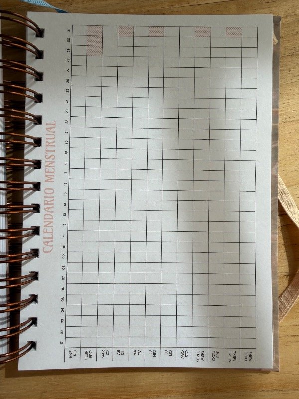Producto - Agenda Astrológica by Azu Sarraill - 6