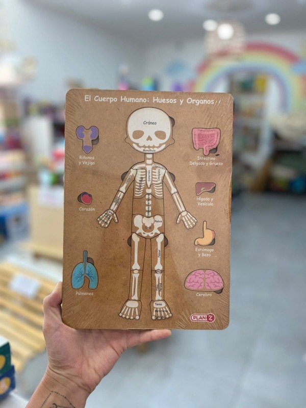 Producto - Encastre Cuerpo Humano