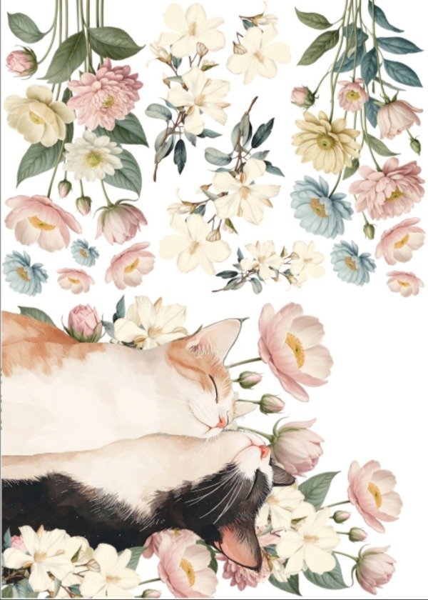 Producto - Lamina de Seda Sublimable CATCUTE2C