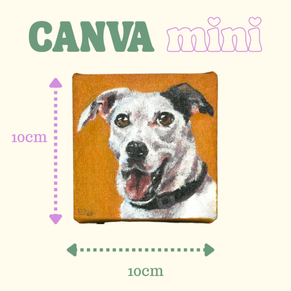 Producto - Canva Mini