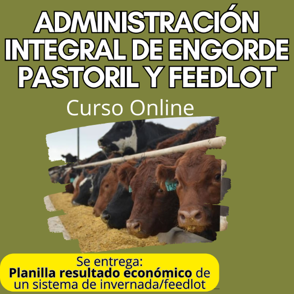 Producto - Curso Online: Administración Integral de Engorde Pastoril y Feedlot - 5