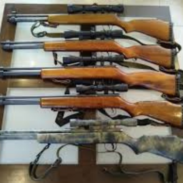 Producto - PRECIO RIFLE AIRE COMPRIMIDO SHARK