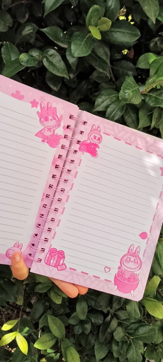 Producto - Libretas con mini libretitas