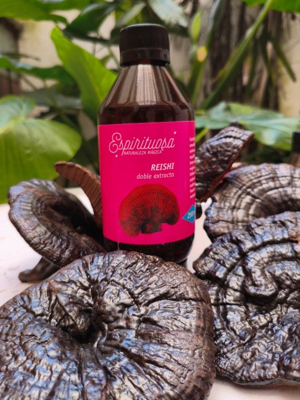 Producto - Extracto de Reishi 250ml