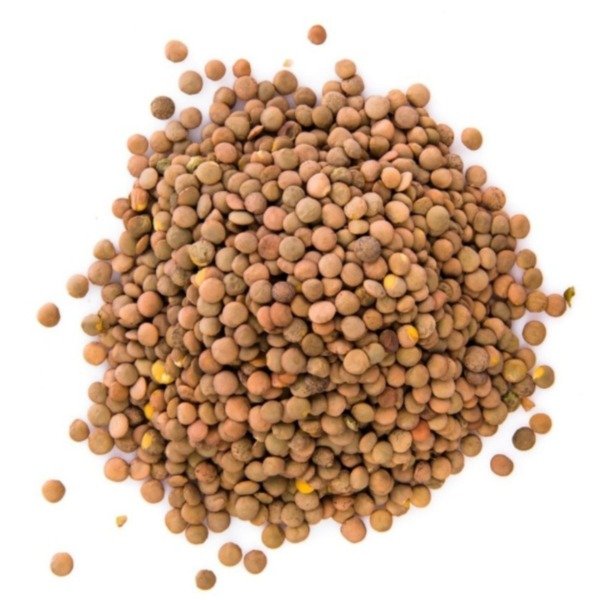 Producto - Lentejón Canadiense 500g.