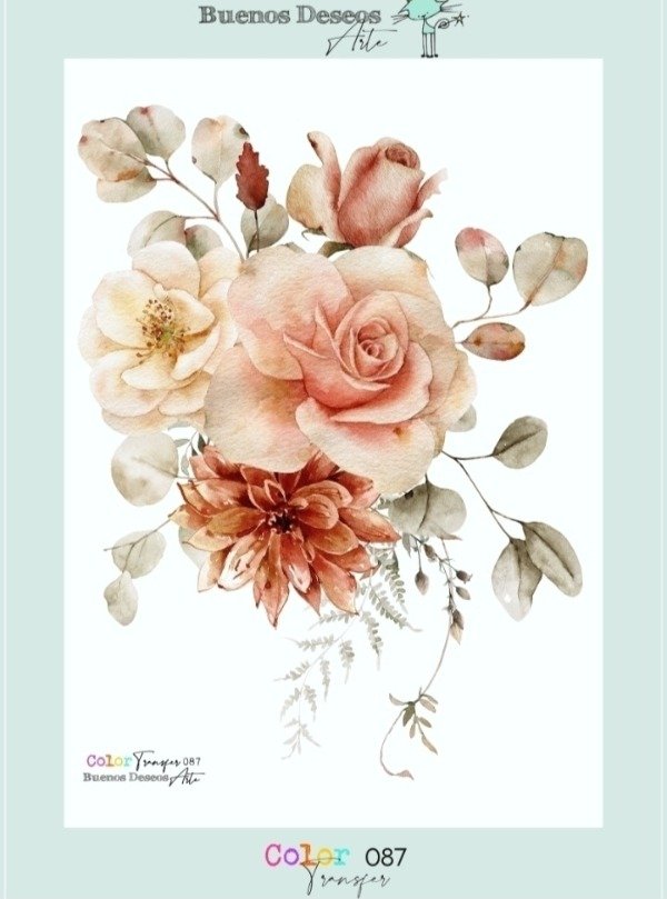 Producto - Transfers Color 087