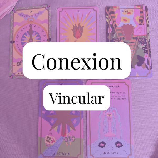 Producto - Conexión Vincular