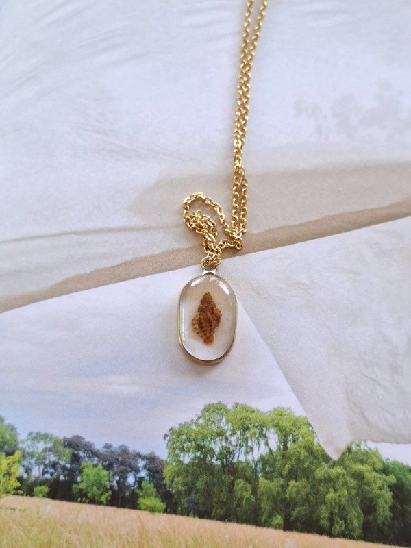 Producto - al sol dorado