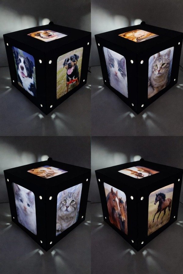 Producto - Personalizado Mascotas