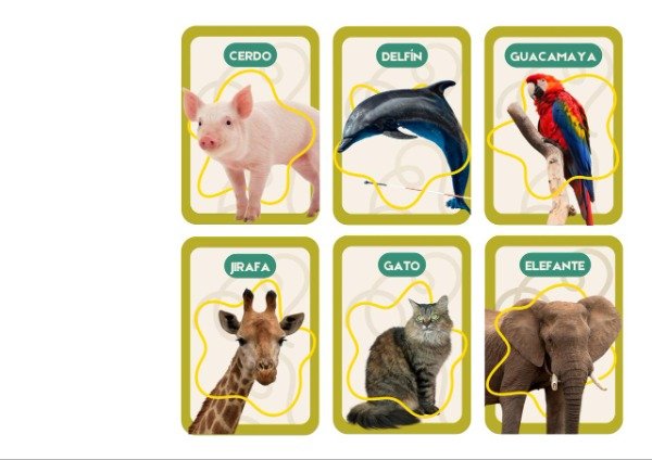 Producto - Tarjetones animales reales