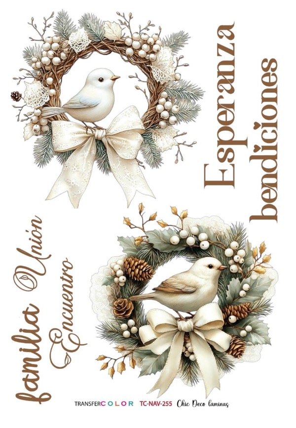 Producto - TransferCOLOR A4 TC 255