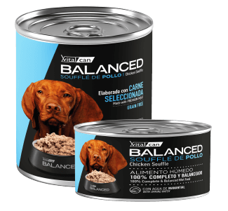 Producto - Vital Can Balanced Soufflé Pollo 340gr.