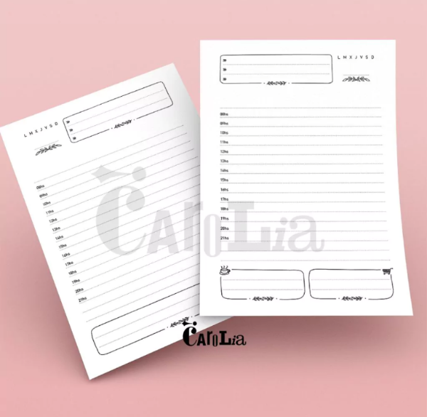 Producto - Modelos perpetuos