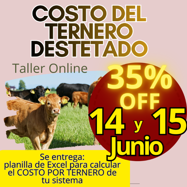 Producto - Taller Online: Costo del Ternero