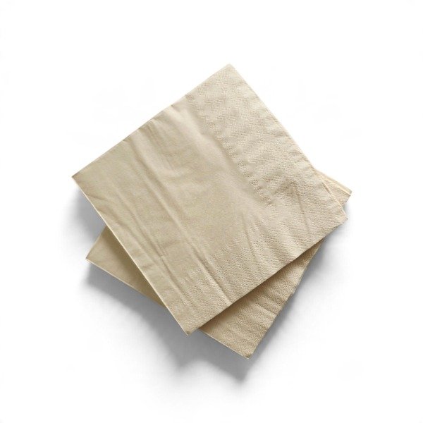 Producto - SERVILLETAS KRAFT ECOLÓGICAS X 20 UNIDADES - 1